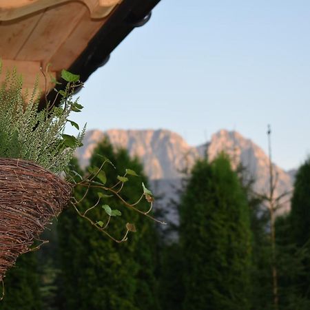 Fiedorówka Zakopane Exterior foto