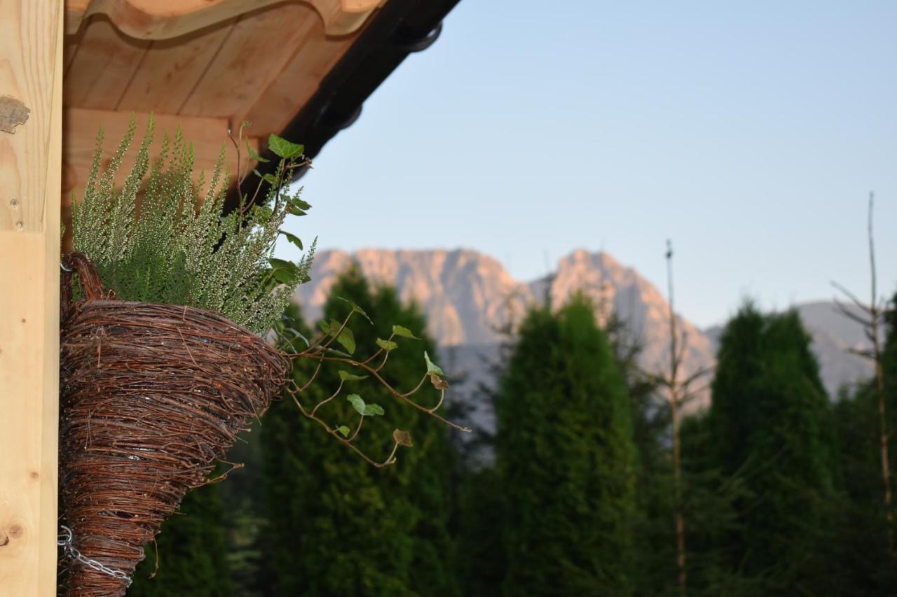 Fiedorówka Zakopane Exterior foto