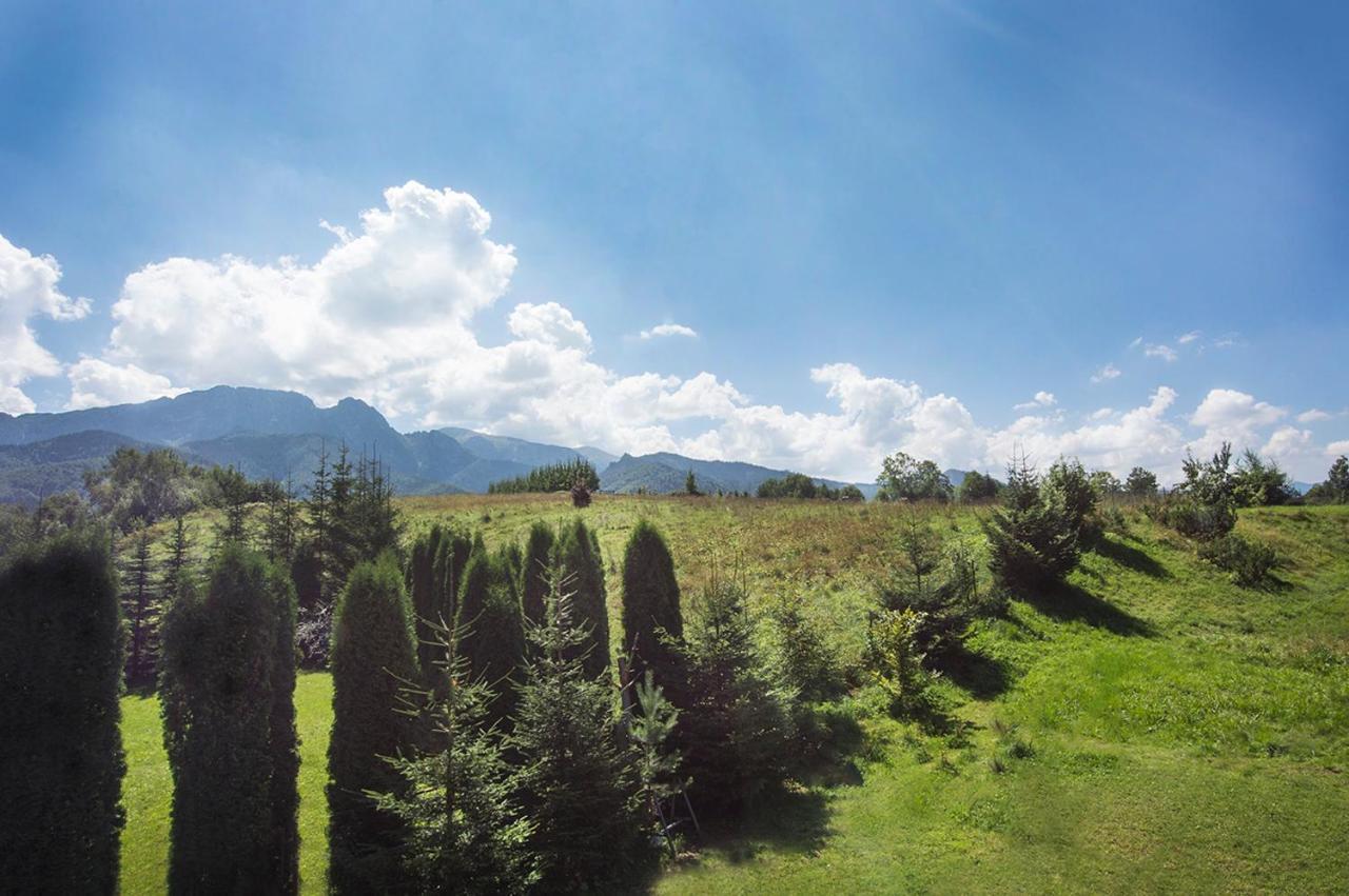 Fiedorówka Zakopane Exterior foto